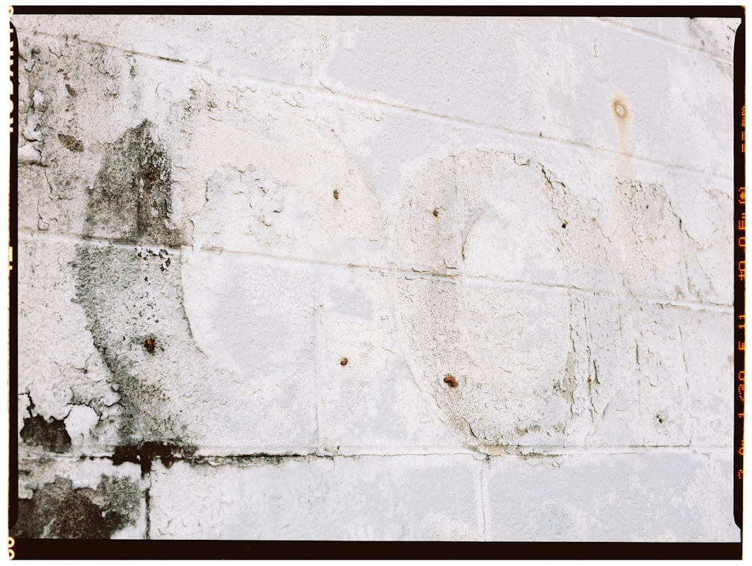 Water Extraction service in Sparks, NV