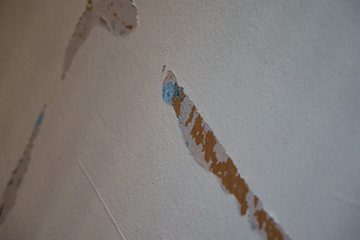 Basement Water Removal service in Sparks, NV